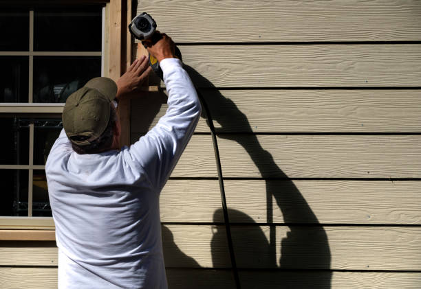 Best Vinyl Siding Installation  in Brighton, CO