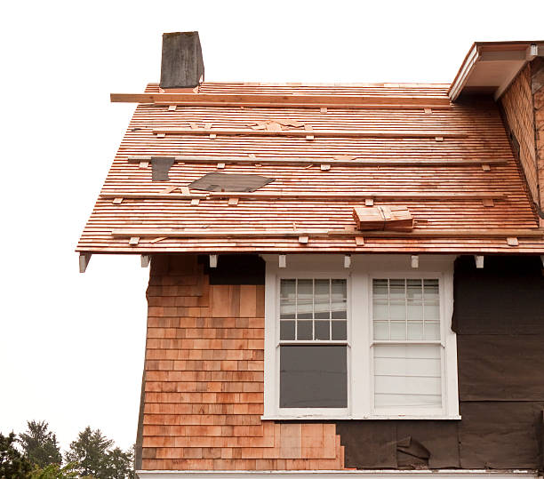 Affordable Siding Repair and Maintenance Services in Brighton, CO